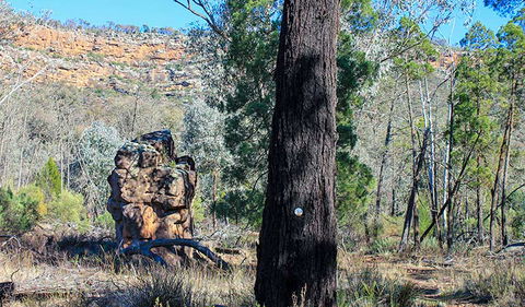 Eualdrie Walking Track - Accommodation Australia 0