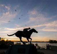Black Caviar Statue - Local Tourism