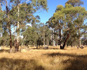 Paramoor Winery - Accommodation Australia 4