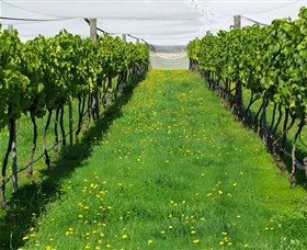 Paramoor Winery - Accommodation Australia 6