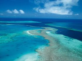 Fairey Reef - Local Tourism 2