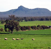 The Rock Nature Reserve - Accommodation Australia