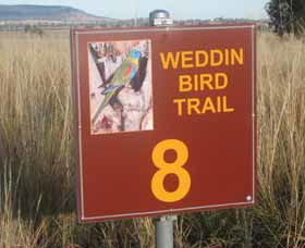 Weddin Bird Trails - Accommodation Australia 0