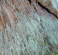 The Rock Nature Reserve - Kengal Aboriginal Place - Accommodation Australia