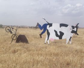 Animals On Bikes - Local Tourism 1