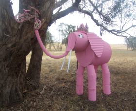 Animals On Bikes - Local Tourism 2