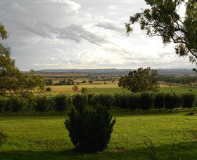 Wollundry Grove Olives - Bed n Breakfasts 1