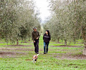Wollundry Grove Olives - Bed n Breakfasts 3