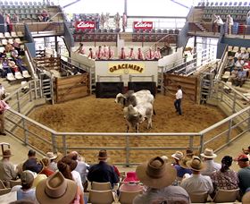 Gracemere Exhibition Complex - Local Tourism 1