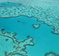 Heart Reef - Local Tourism