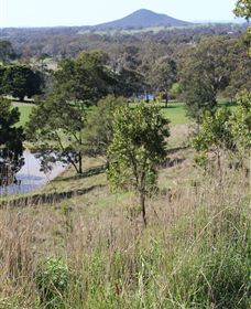 Mt Piper Nature Conservation Reserve - Accommodation Australia 1
