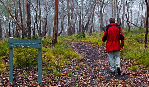 Mount Kaputar Summit Walk - Bed n Breakfasts 2