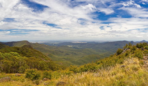 Mount Kaputar Summit Walk - Bed n Breakfasts 3