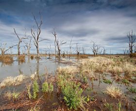 Winton Wetlands Reserve - Accommodation Australia 4