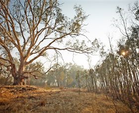Winton Wetlands Reserve - Accommodation Australia 2