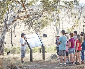 Winton Wetlands Reserve - Accommodation Australia 5