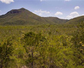 Kutini-Payamu (Iron Range) National Park (CYPAL) - Local Tourism 0