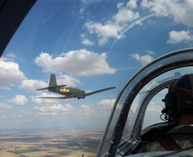 Warbird Aerial Adventures - Local Tourism 2