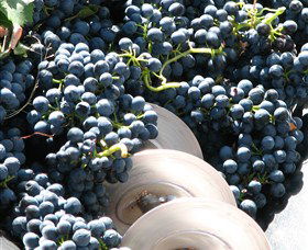 Orange Mountain Wines - Local Tourism 2