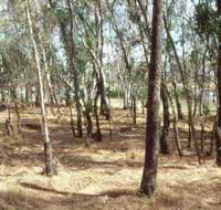 Chiltern-Mt Pilot National Park - Accommodation Australia