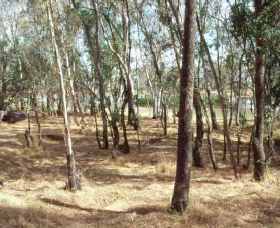 Chiltern-Mt Pilot National Park - Accommodation Australia 0