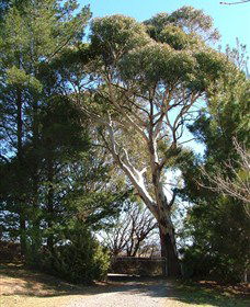 Habitat Vineyard - Local Tourism 1