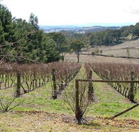 Habitat Vineyard - Local Tourism