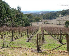 Habitat Vineyard - Local Tourism 0