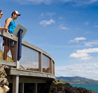 Mount Canobolas State Conservation Area - Local Tourism