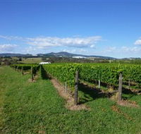 Hedberg Hill Wines - Local Tourism