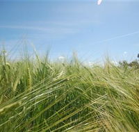 150 Degrees East Meridian - Local Tourism