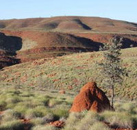 Camel Trail Millstream-Chichester National Park - Accommodation Australia