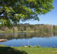 Lake Canobolas Reserve - Local Tourism