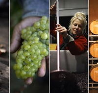 Ross Hill Wines - Local Tourism