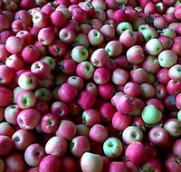 Hillside Orchard - Local Tourism