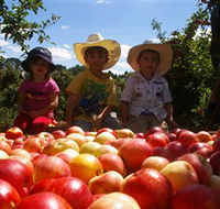 Bonny Glen Fruits - Local Tourism