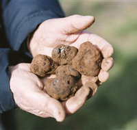 A Slice of Orange - Accommodation Australia