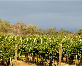 Amulet Vineyard And Beechworth Cider - Accommodation Australia 7