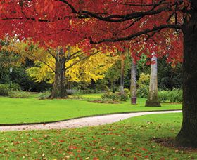 Albury Botanic Gardens - Local Tourism 0