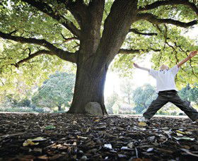 Albury Botanic Gardens - Local Tourism 1