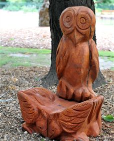 Albury Botanic Gardens - Local Tourism 7