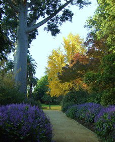 Albury Botanic Gardens - Local Tourism 4