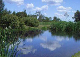 Yan Yean Reservoir Park - Local Tourism 0