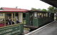 Alexandra Timber Tramway - thumb 1