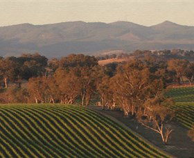 Angullong Wines - Accommodation Australia 0