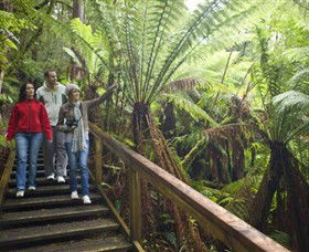  Local Tourism