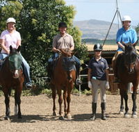 Forest Park Riding and Equitation School - Accommodation Australia