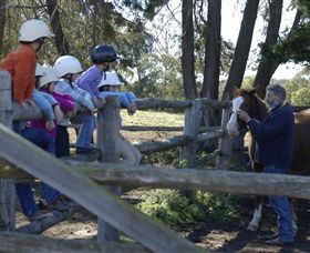 Harlow Park Horse Riding - Accommodation Australia 0
