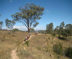 Kambah Pool To Pine Island - Accommodation Australia 1