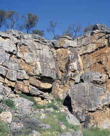 Watheroo National Park - Accommodation Australia 0